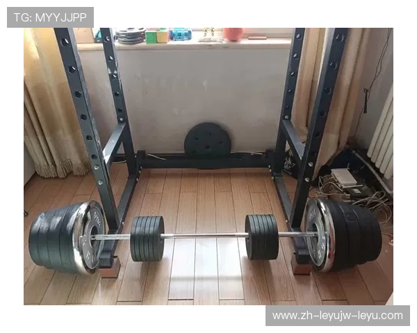 静音型家用深蹲辅助器械新品盘点